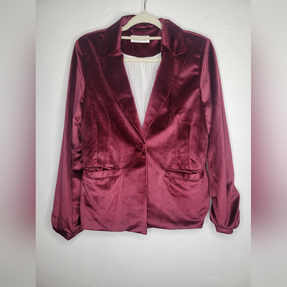 Maroon Velvet Blazer